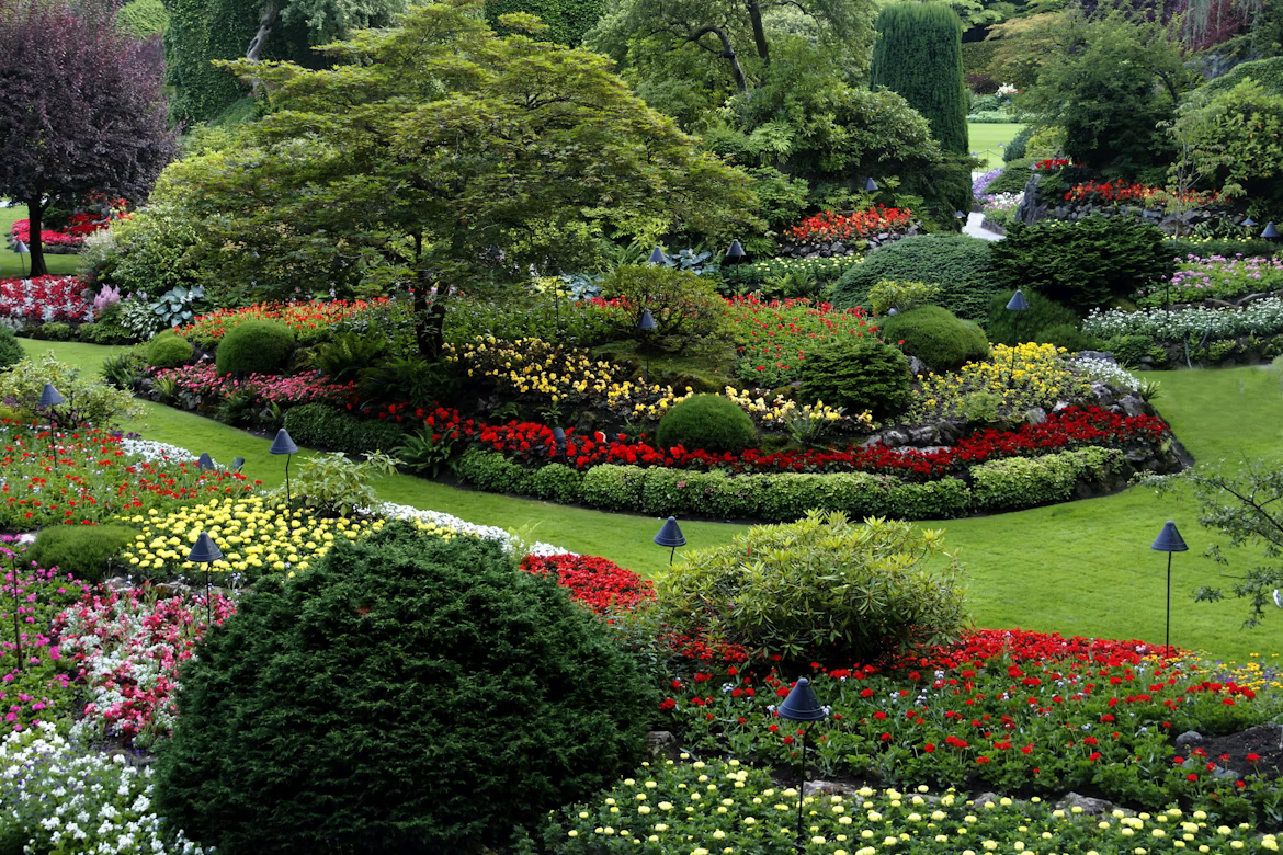 Landscape project