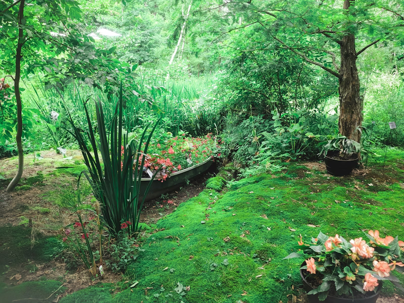 Hardscapes and outdoor living