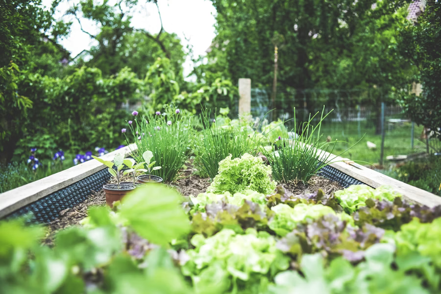 Professionally landscaped property